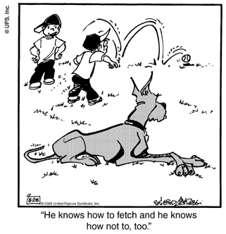 marmaduke